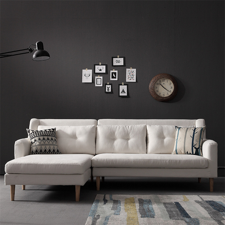 17012 Fabric Sofa Cleaning and Maintenan